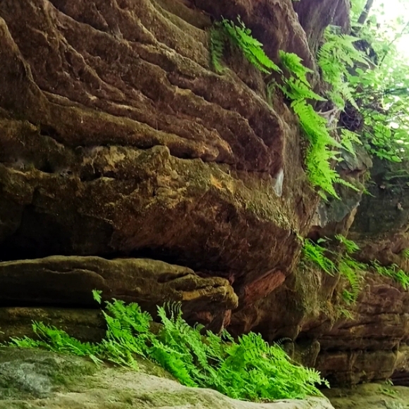 Meet your Posher, Autumn - Picture 11 of 13